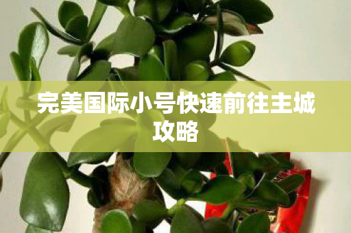 完美国际小号快速前往主城攻略图片