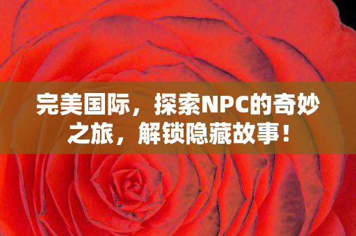 探索NPC的奇妙之旅图片