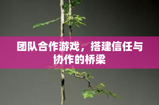 搭建信任与协作的桥梁图片