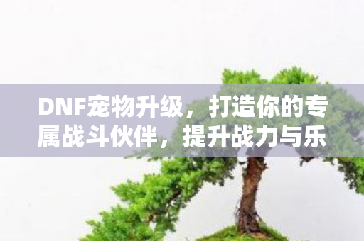 打造你的专属战斗伙伴图片