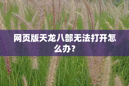 网页版天龙八部无法打开怎么办图片