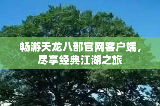 畅游天龙八部官网客户端图片