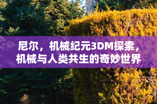 机械与人类共生的奇妙世界图片