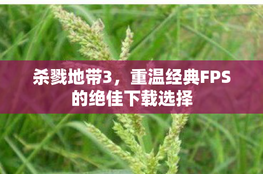 重温经典FPS的绝佳下载选择图片