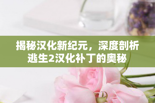 深度剖析逃生2汉化补丁的奥秘图片