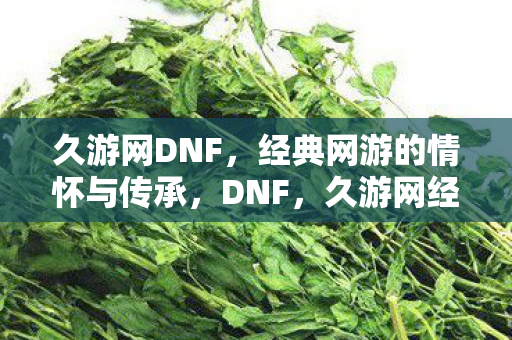 久游网DNF，经典网游的情怀与传承，DNF，久游网经典网游的情怀与传承