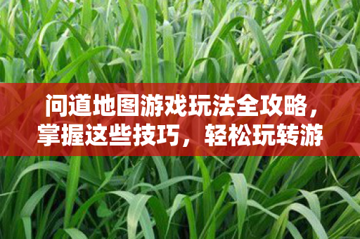 问道地图游戏玩法全攻略图片