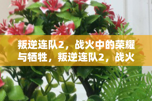 叛逆连队2，战火中的荣耀与牺牲，叛逆连队2，战火中的荣耀与牺牲