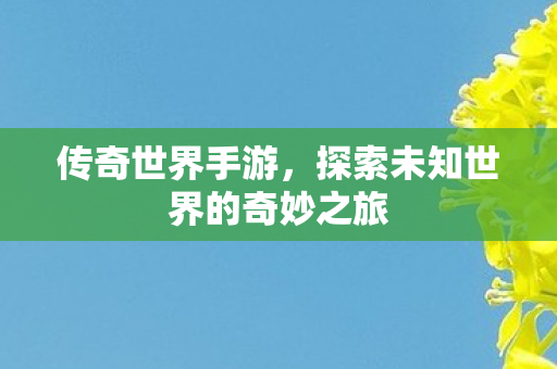 探索未知世界的奇妙之旅图片