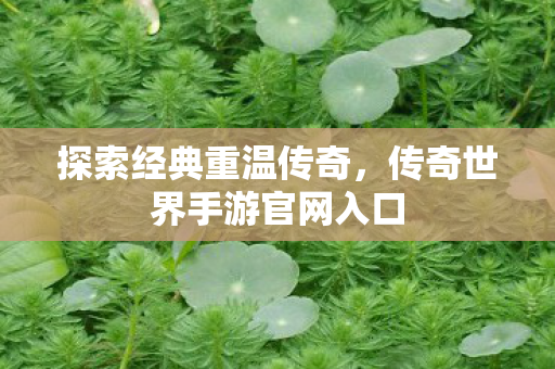 传奇世界手游官网入口图片