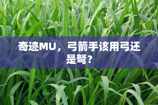 弓箭手该用弓还是弩图片