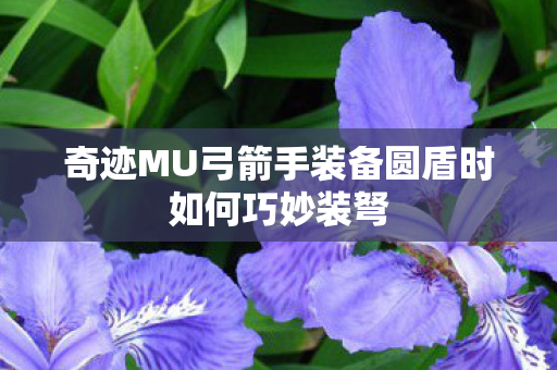 奇迹MU弓箭手装备圆盾时如何巧妙装弩图片