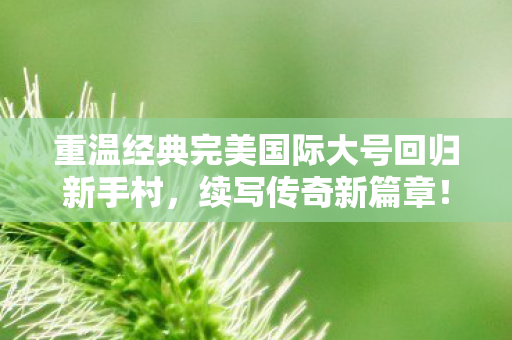重温经典完美国际大号回归新手村图片