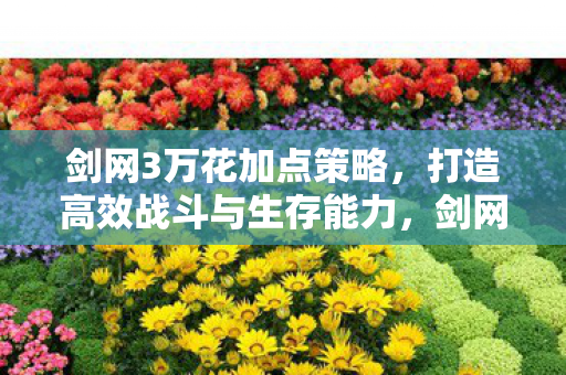 打造高效战斗与生存能力图片
