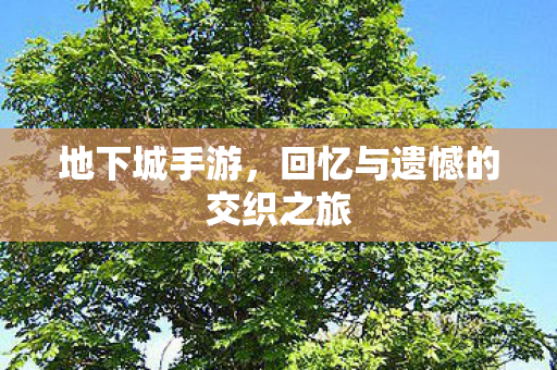 回忆与遗憾的交织之旅图片