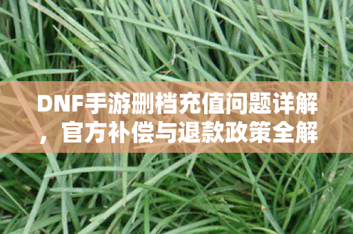 DNF手游删档充值问题详解图片