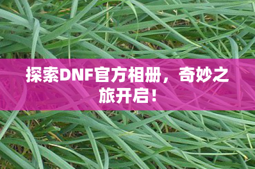 探索DNF官方相册图片