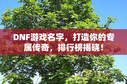 打造你的专属传奇图片