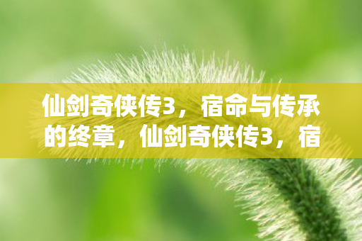 宿命与传承的终章图片