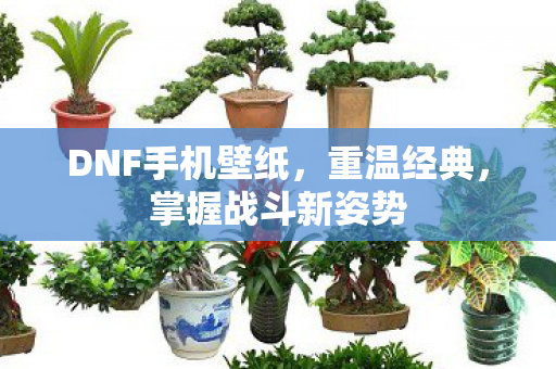 DNF手机壁纸图片