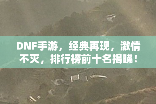 排行榜前十名揭晓图片