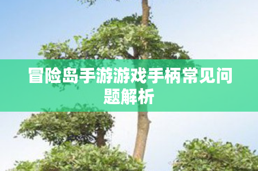 冒险岛手游游戏手柄常见问题解析图片