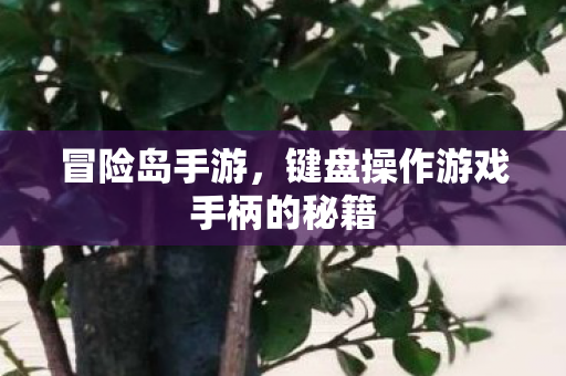 键盘操作游戏手柄的秘籍图片