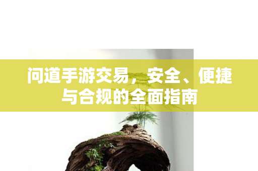便捷与合规的全面指南图片