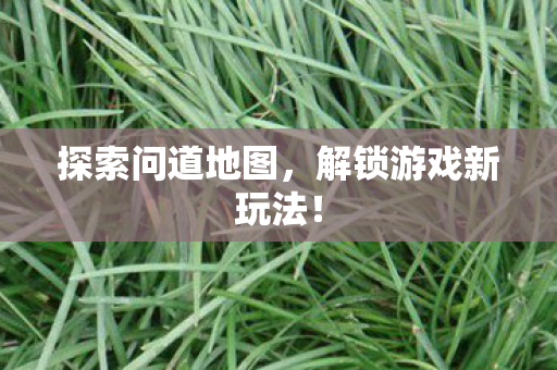解锁游戏新玩法图片