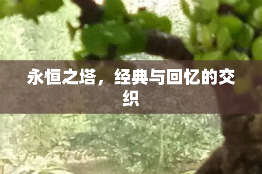 经典与回忆的交织图片