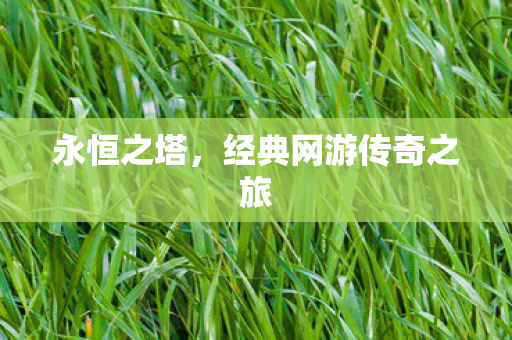 经典网游传奇之旅图片