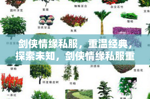 剑侠情缘私服重温经典图片