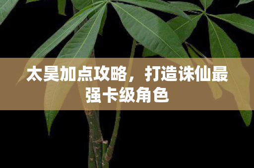 打造诛仙最强卡级角色图片