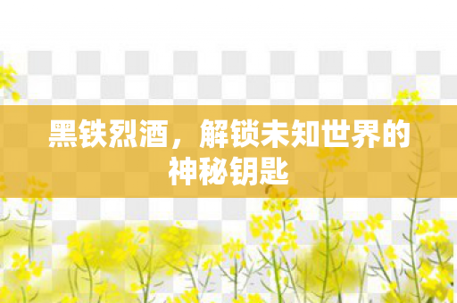 解锁未知世界的神秘钥匙图片