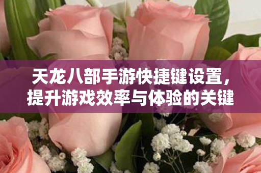 提升游戏效率与体验的关键图片
