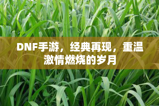 重温激情燃烧的岁月图片