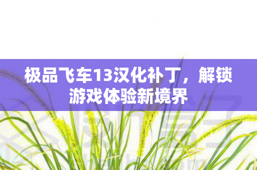 极品飞车13汉化补丁图片