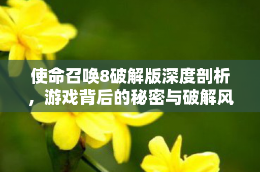 使命召唤8破解版深度剖析,游戏背后的秘密与破解风险 使命召唤8破解版深度剖析,游戏背后的秘密与破解风险
