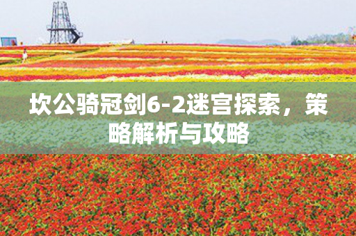 策略解析与攻略图片