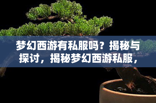 梦幻西游有私服吗？揭秘与探讨，揭秘梦幻西游私服，存在与风险