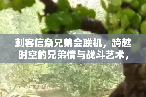 跨越时空的兄弟情与战斗艺术图片