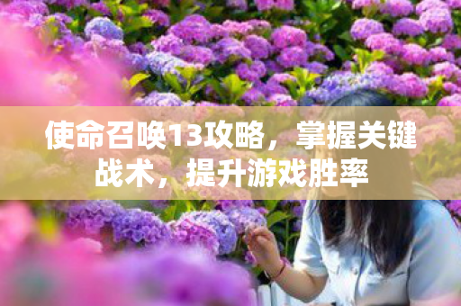 使命召唤13攻略图片