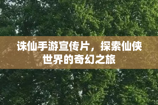 探索仙侠世界的奇幻之旅图片
