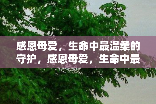 感恩母爱,生命中最温柔的守护,感恩母爱,生命中最温柔的守护 感恩母爱,生命中最温柔的守护,感恩母爱,生命中最温柔的守护