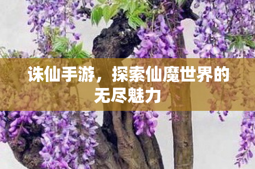 探索仙魔世界的无尽魅力图片