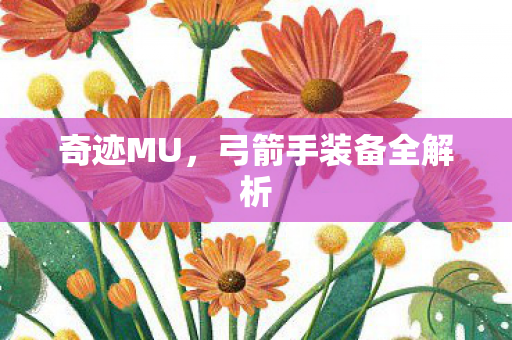 弓箭手装备全解析图片