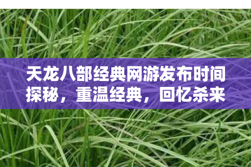 天龙八部经典网游发布时间探秘图片