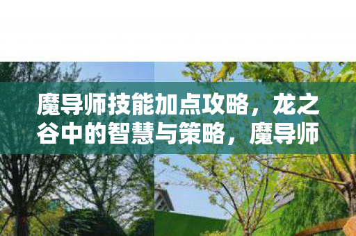魔导师技能加点攻略,龙之谷中的智慧与策略,魔导师技能加点攻略,龙之谷中的智慧与策略 魔导师技能加点攻略,龙之谷中的智慧与策略,魔导师技能加点攻略,龙之谷中的智慧与策略