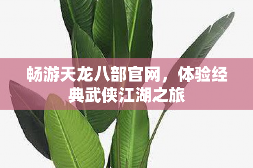 体验经典武侠江湖之旅图片