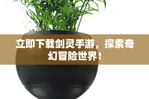 立即下载剑灵手游图片